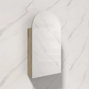 500x900mm Canterbury Wall Hung Arch Shaving Mirror Cabinet Max Finish for Bathroom