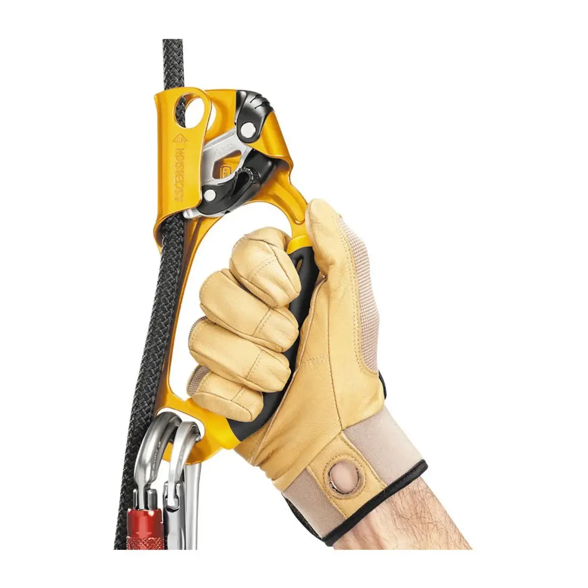 Ascension Right - Yellow