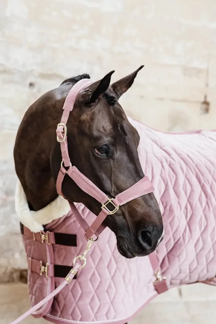 Kentucky Basic Lead Rope Old Rose