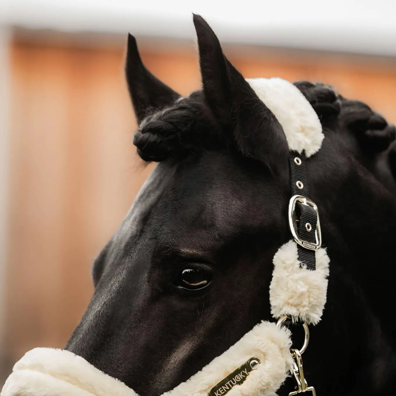 Kentucky Horsewear Sheepskin Headcollar - Natural