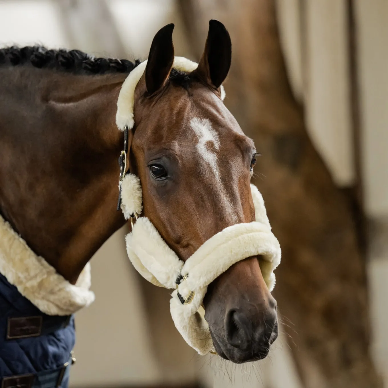 Kentucky Horsewear Sheepskin Headcollar - Natural