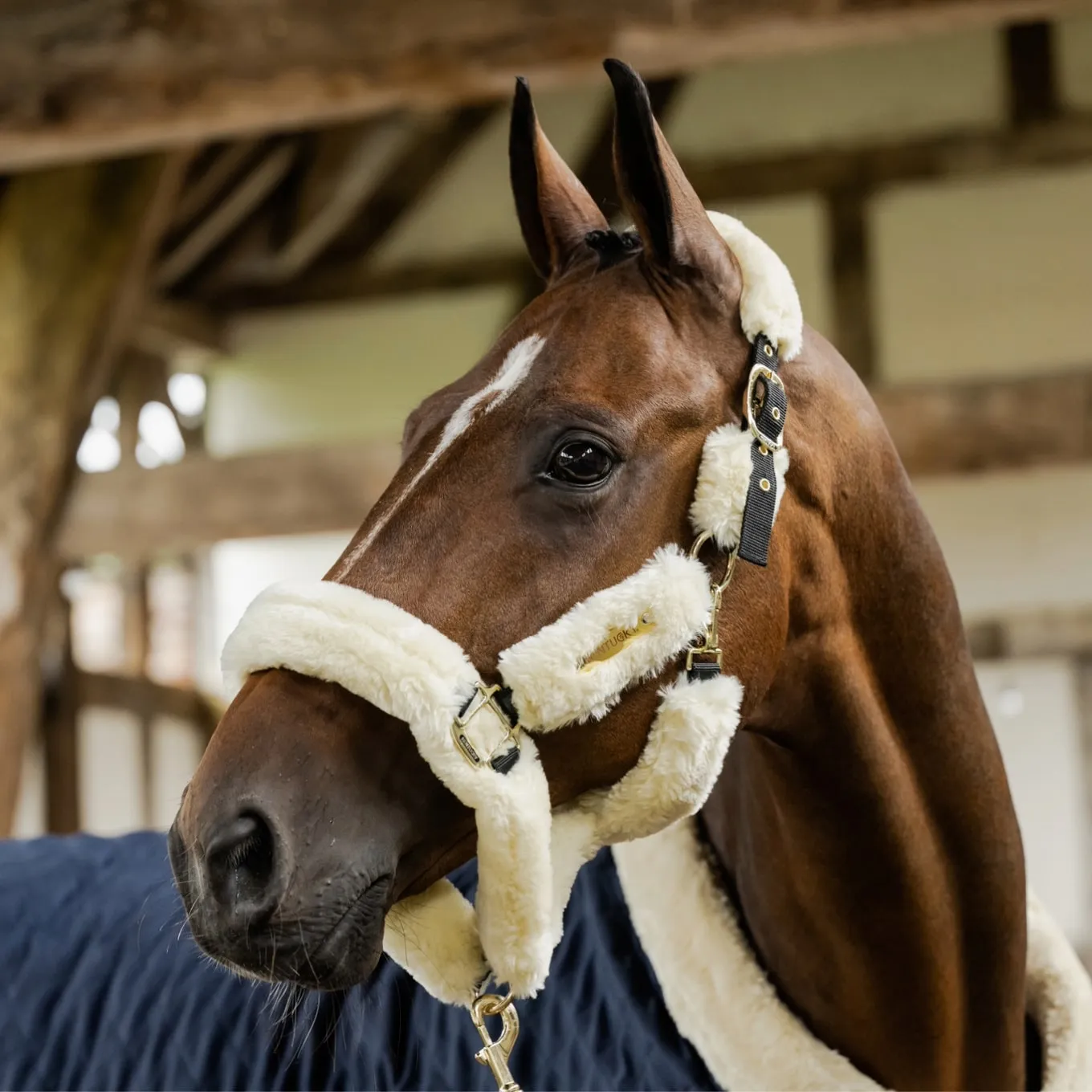 Kentucky Horsewear Sheepskin Headcollar - Natural