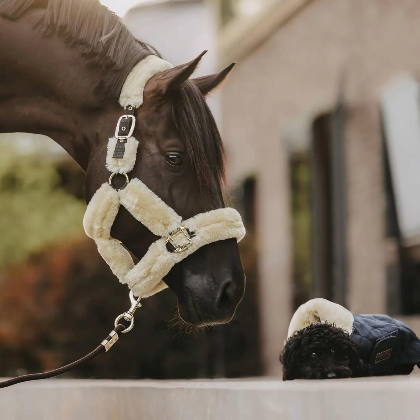 Kentucky Horsewear Sheepskin Headcollar - Natural