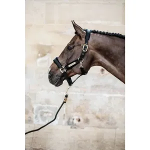Kentucky Lead Rope Basic Black