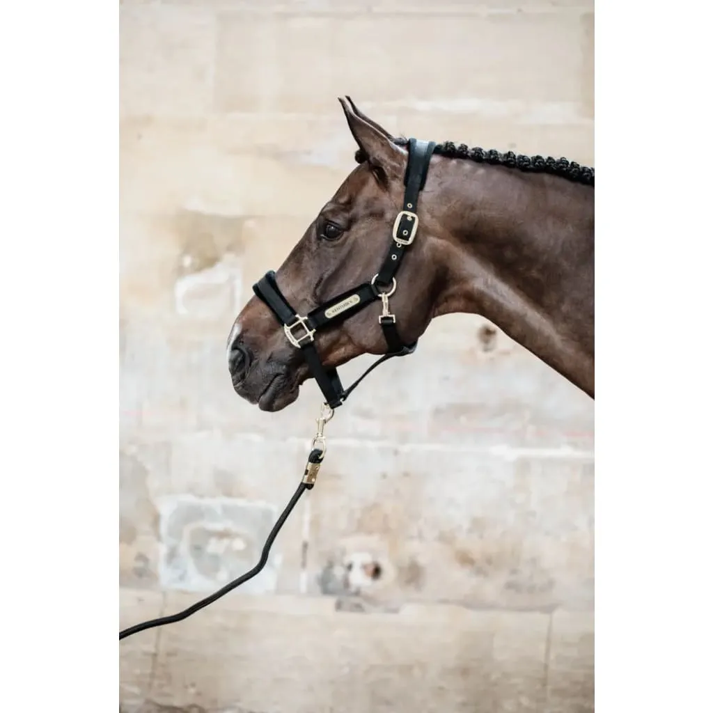 Kentucky Lead Rope Basic Black