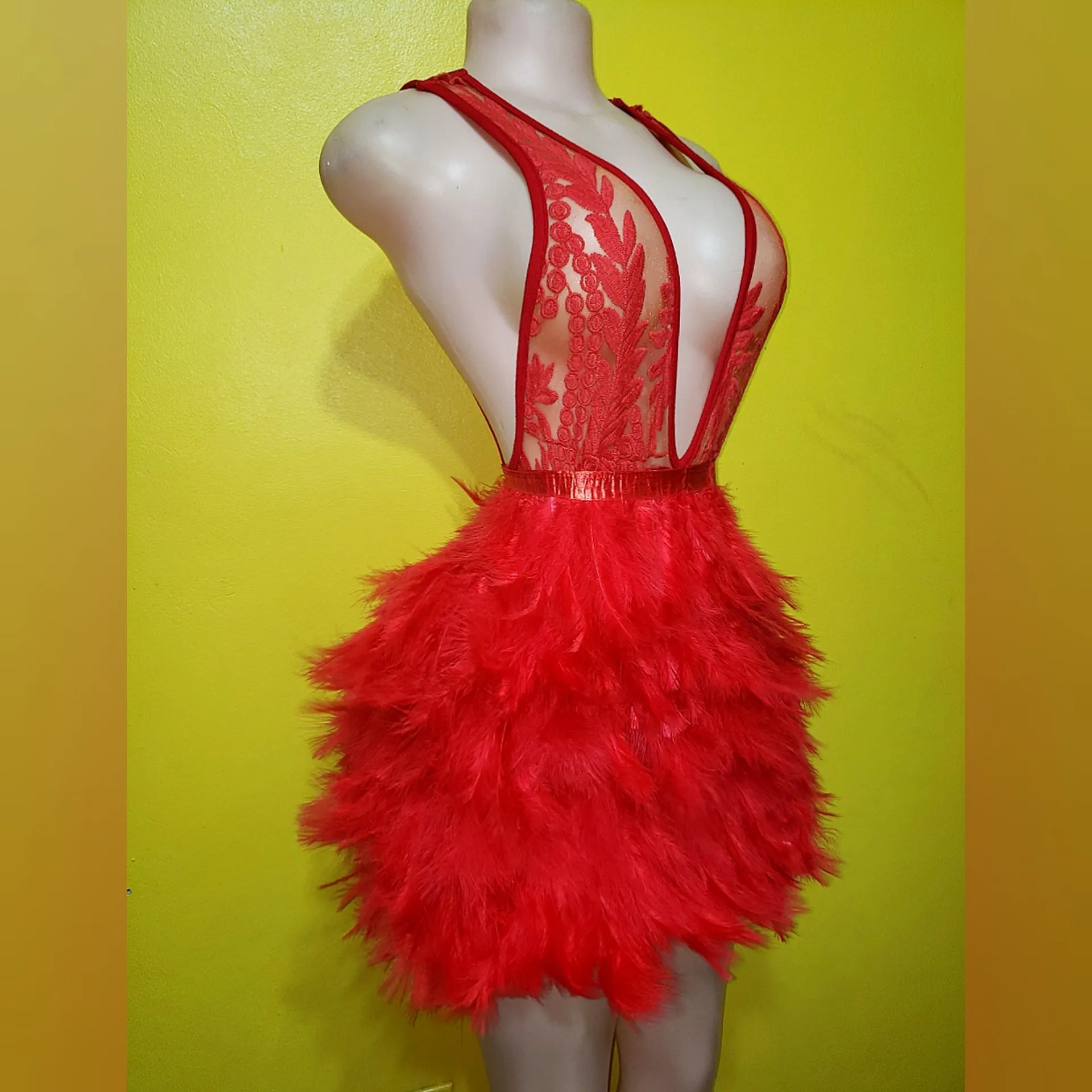 Taquin embroidery feather mini dress